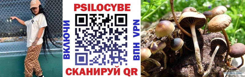 Галлюциногенные грибы Magic Shrooms  сколько стоит  даркнет клад  Павловская 