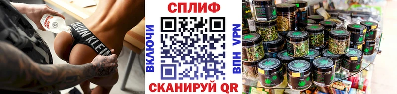 Марихуана конопля  Павловская 